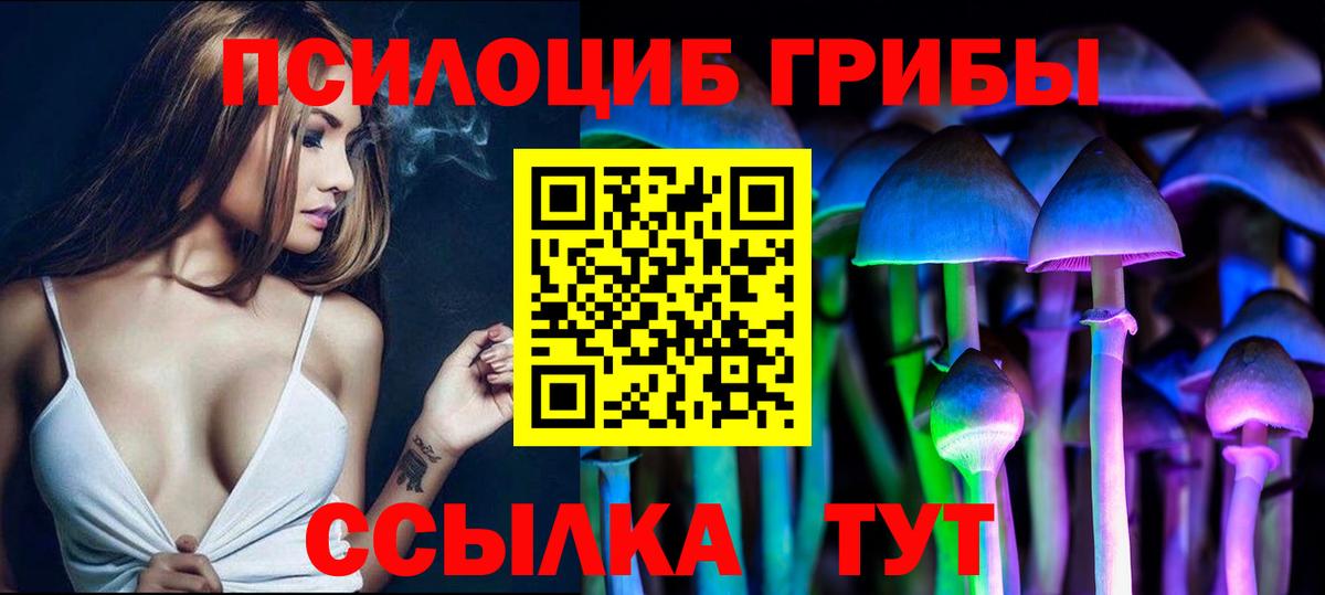 Псилоцибиновые грибы Cubensis  Галлюциногенные грибы мухоморы  Малоярославец  Вход с VPN 